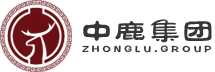 卜算网